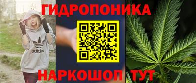 ешки Пушкино
