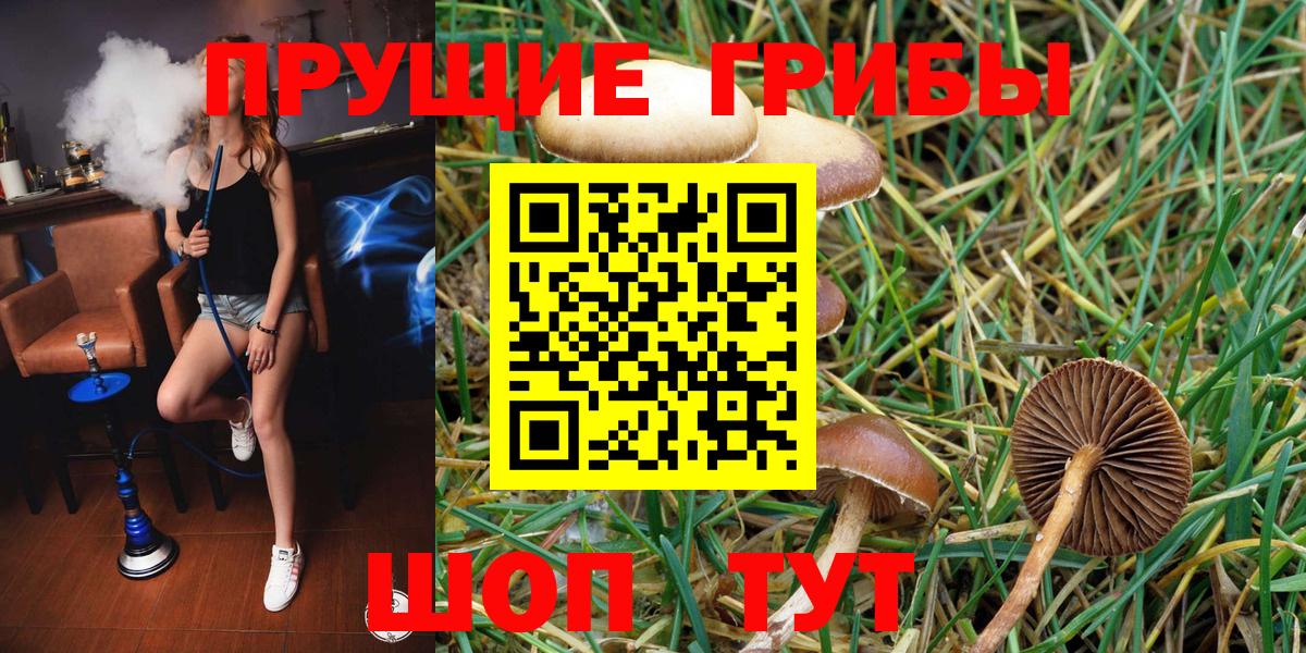 Галлюциногенные грибы мухоморы  Вход с VPN  Истра 